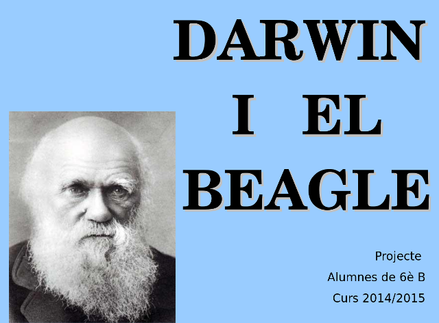 darwin